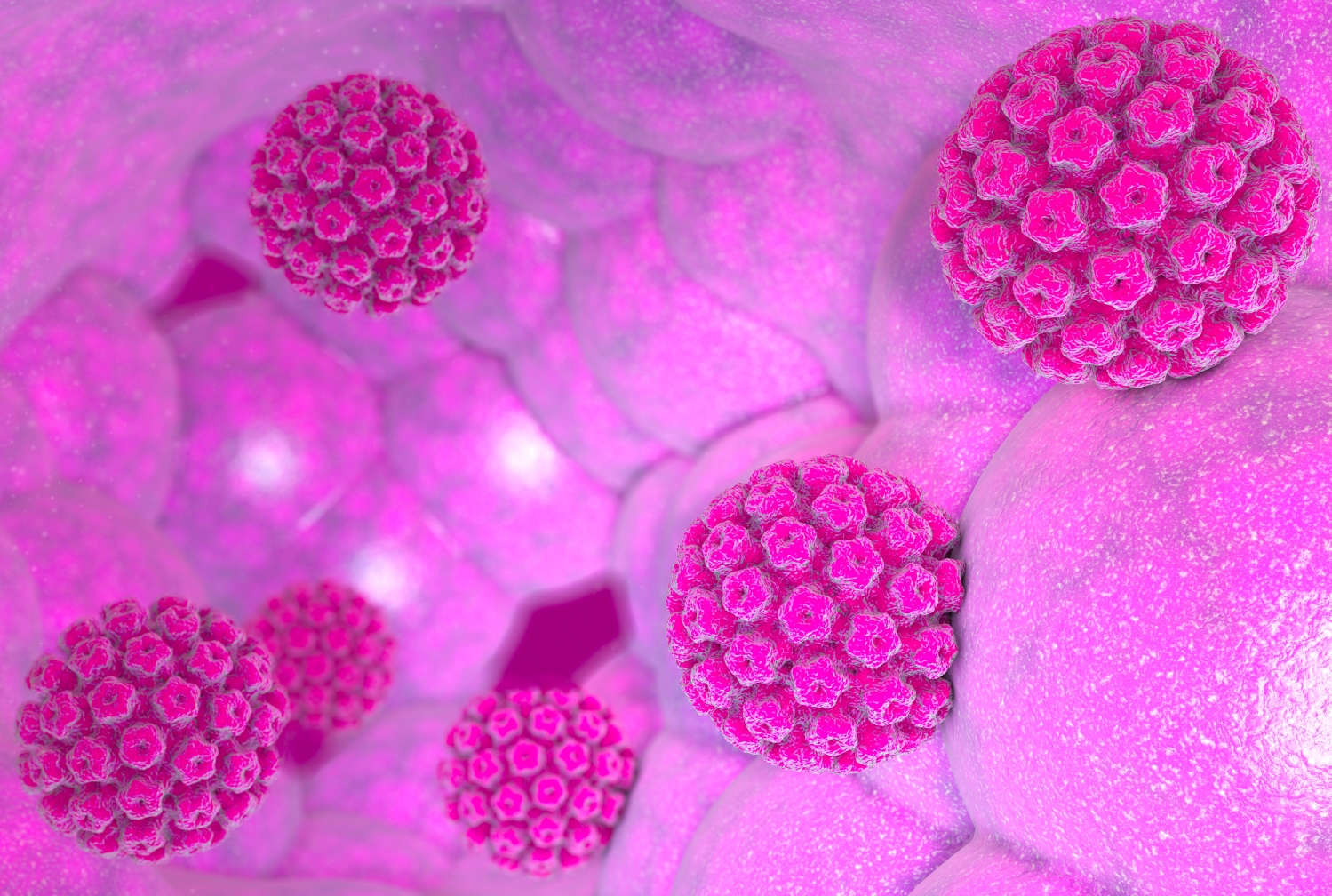 Human papillomavirus infection illustration